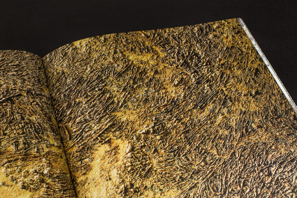 The Landscape of affordances TBF 8d